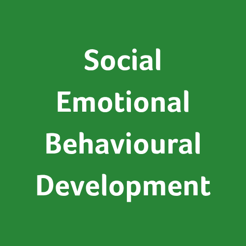 Promoting Social, Emotional and Behavioural Development - coming soon