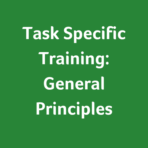 Task-Specific Training: General Principles