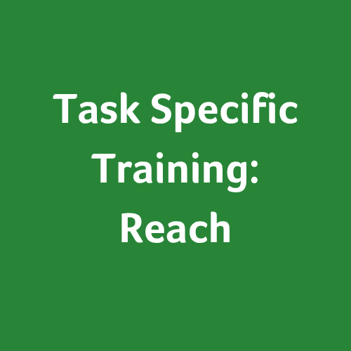 Task-specific Training: Reach