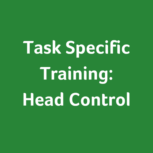Task-specific Training: Head Control
