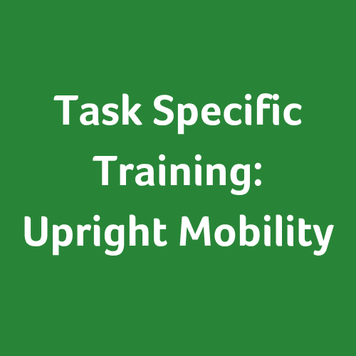 Task-specific Training: Upright Mobility