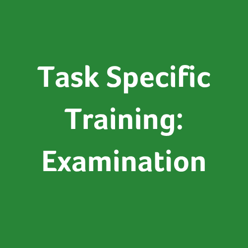 Task-specific Training: Examination